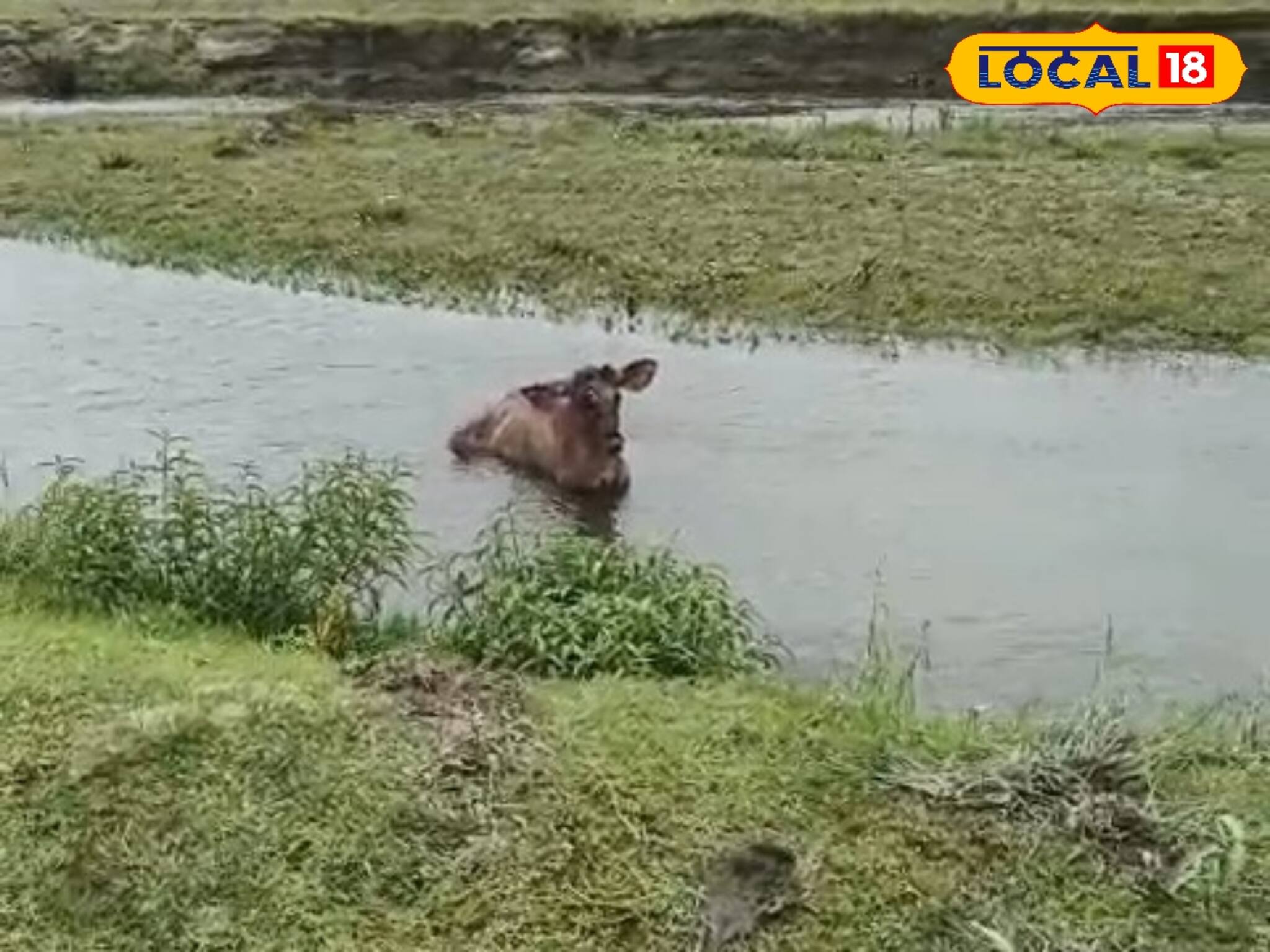 ঝরঝরিয়ে পড়ছে রক্ত...বুড়ি নদীর শুকনো খাতে ওটা কী বসে আছে? ধরতে গেলেই ঘটল বড় অঘটন