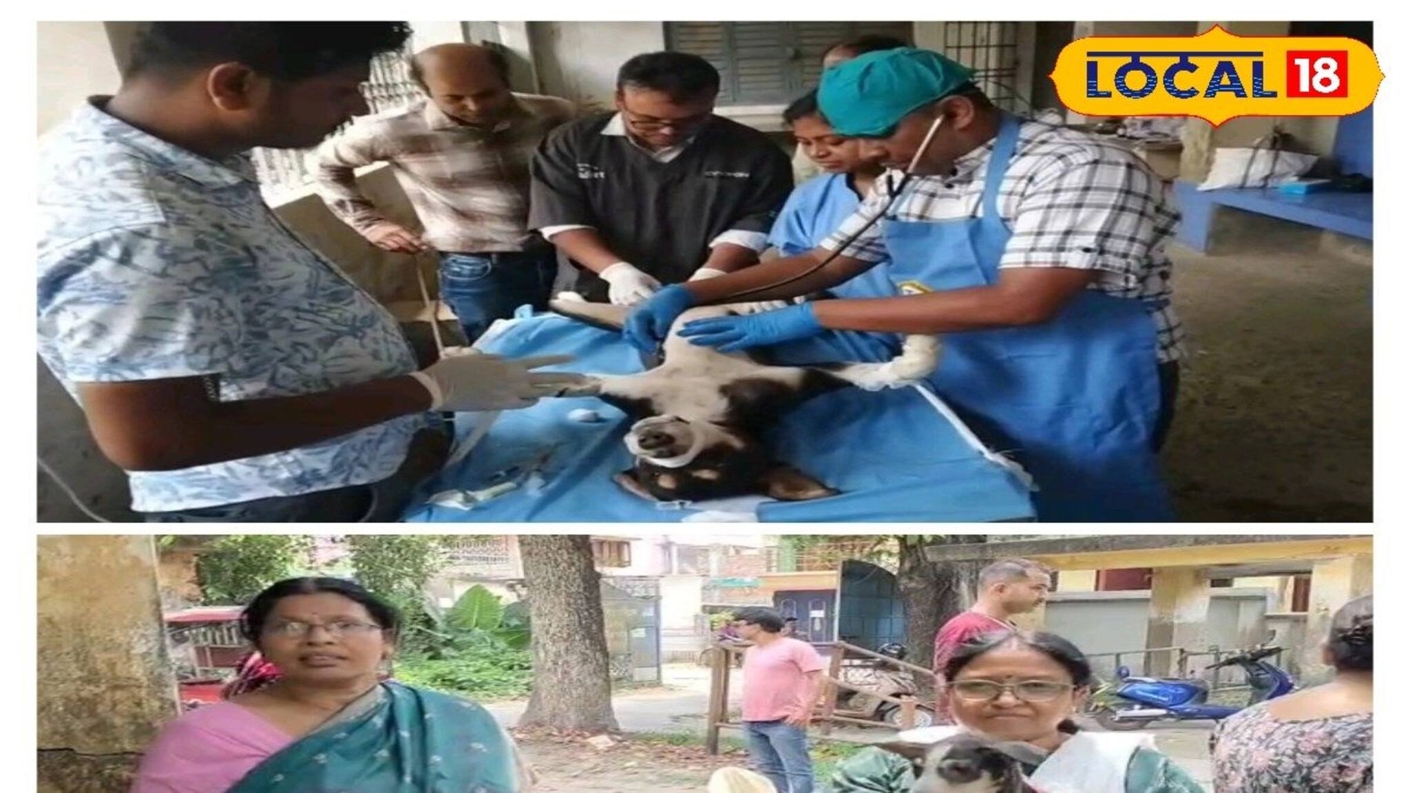 শুধু মানুষ নয়, এবার পশুদেরও হবে জন্ম নিয়ন্ত্রণ! বালুরঘাটে হয়ে গেল বিরাট কাজ