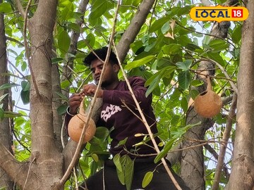 কৃত্রিম