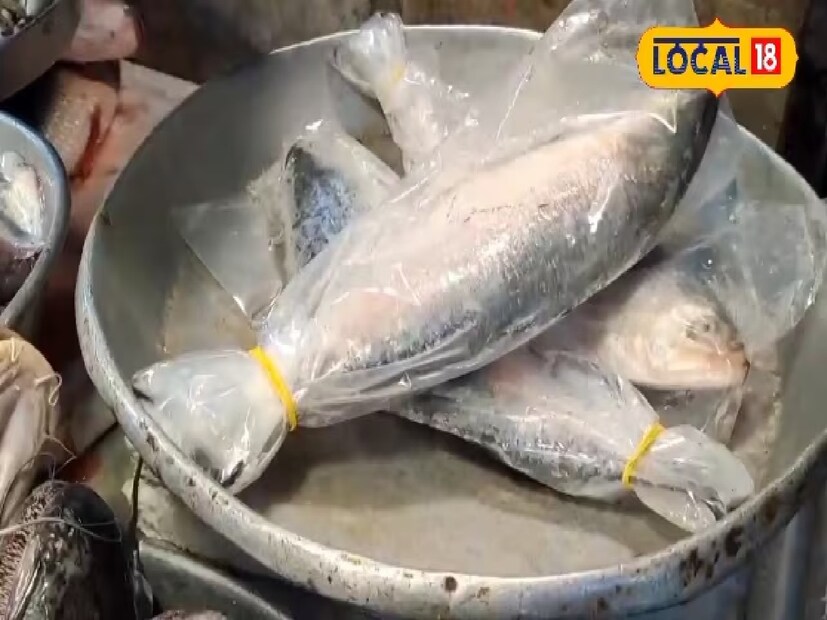 *বর্ষা না এলেও বাজার জুড়ে ইলিশের ঘ্রাণ ম ম করছে। বর্ষার আগে এমন ইলিশ! দামও তুলনামূলকভাবে কম! তাই জলপাইগুড়ি বাজারে এখন ইলিশ কেনার হিড়িক পড়েছে। বাজারে ঢুকলেই চোখে পড়ছে একটাই ছবি—ইলিশ হাতে নিয়ে দরদাম করছেন ক্রেতারা।