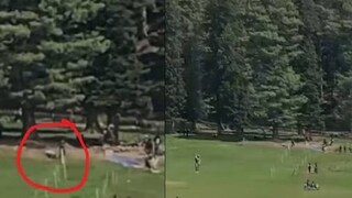 কাশ্মীরে জঙ্গি হামলা