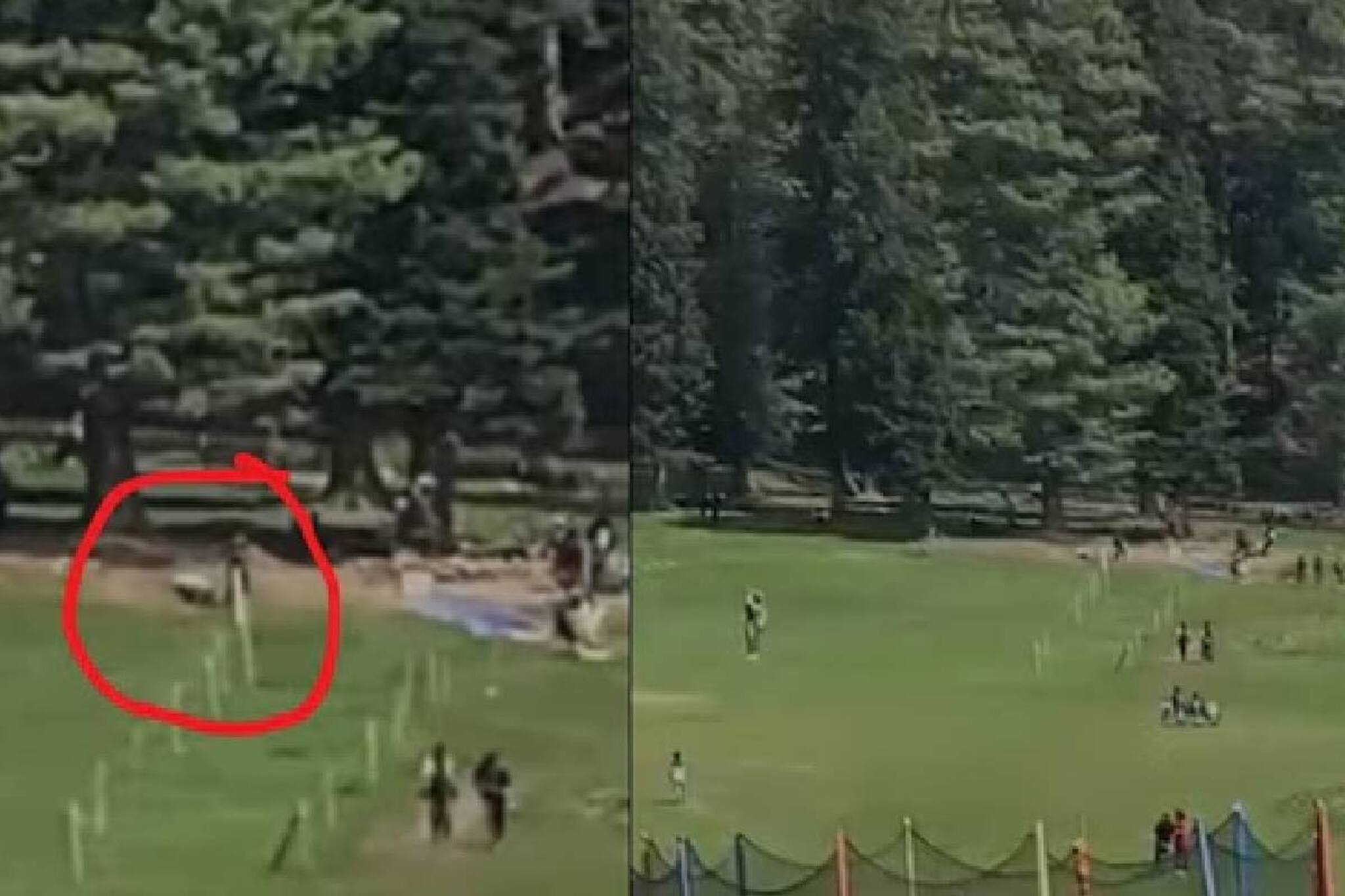 খেলছে শিশুরা, ছুটে এল গুলি! পহেলগাঁওয়ের নতুন ভিডিও প্রকাশ! কী ভাবে হত্যালীলা চালায় জঙ্গিরা