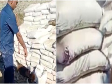 যেন মাদকের সমুদ্র!গুজরাত উপকূলে থেকে মিলল ১৮০০ কোটি টাকার মাদক!গত সপ্তাহে অসম, এবার গুজরাত