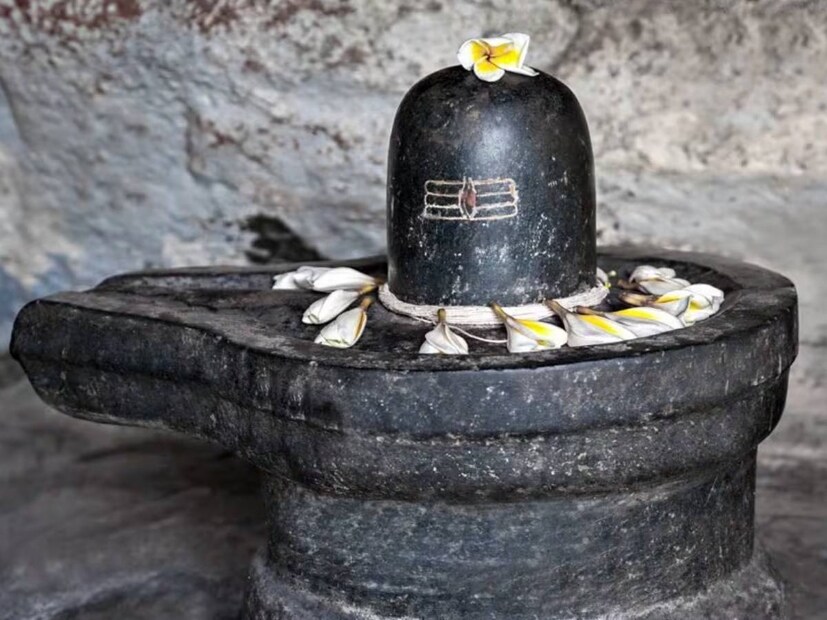 এই তিথিতে দেবাদিদেব মহাদেব, দেবী নীলাবতী (মা দুর্গার এক রূপ), দেবী চণ্ডিকা এবং মা ষষ্ঠীর পুজো করা হয়৷ সন্তানের মঙ্গল কামনায় উপবাস করে ব্রতপালন করেন মায়েরা৷