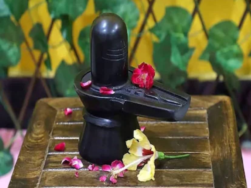বাঙালির বারো মাসে তেরো ষষ্ঠীর অন্যতম নীল ষষ্ঠী৷ এই লৌকিক পার্বণ পালিত হয় চৈত্র সংক্রান্তির আগের দিন৷ বছরের শেষ ষষ্ঠী তিথি খুব গুরুত্বপূর্ণ৷