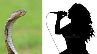 কণ্ঠস্বর ভাল রাখতে তিনি একটি সিরাপের মতো তরল পান করেন