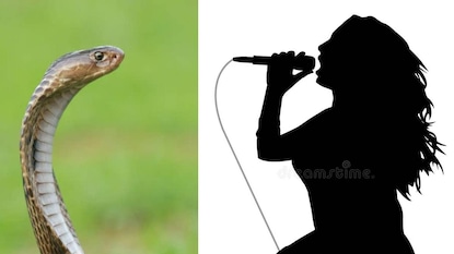 কণ্ঠস্বর ভাল রাখতে তিনি একটি সিরাপের মতো তরল পান করেন কণ্ঠস্বর ভাল রাখতে তিনি একটি সিরাপের মতো তরল পান করেন