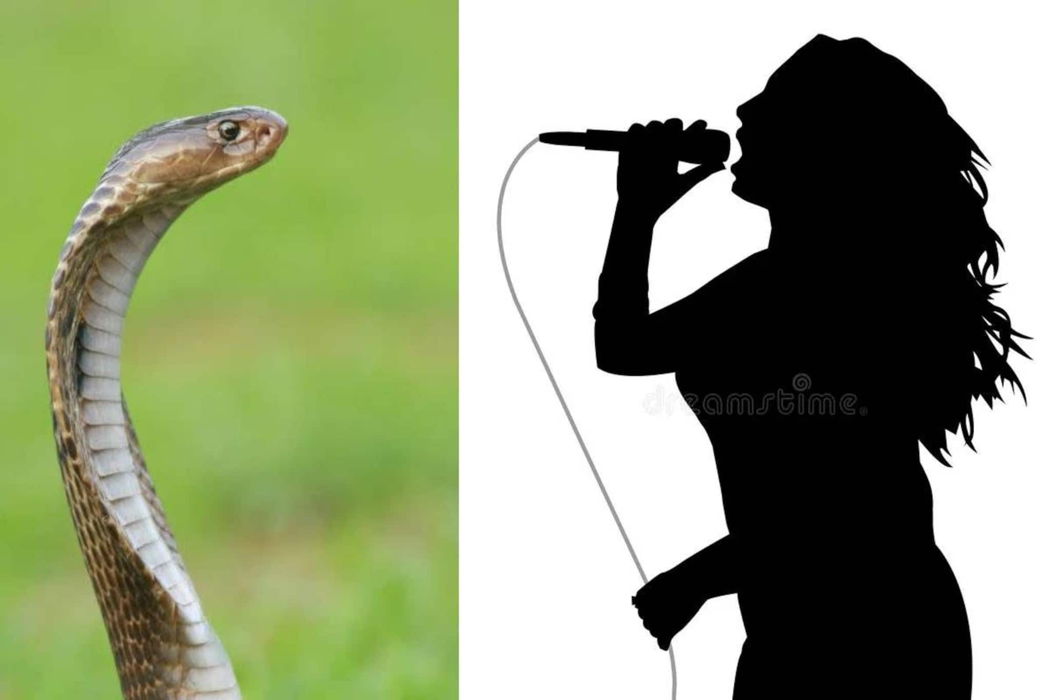 ‘সাপের শুক্রাণু’ রোজ পান করেই পেয়েছেন এই ‘বড়’ উপকার! দাবি নামী গায়িকা তথা অভিনেত্রীর