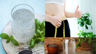 তুলসি বীজ কি আসলেই ততটা কার্যকর যতটা দাবি করা হয়?