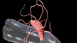 প্রতীকী ছবি প্রতীকী ছবি