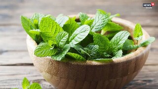 গরমে দারুণ কাজের এই পাতা! নিয়ম মেনে খেলেই শরীর ছাড়বে একাধিক রোগ...