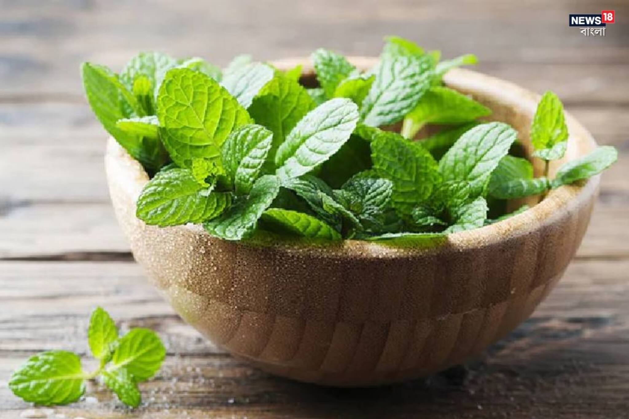 গরমে দারুণ কাজের এই পাতা! নিয়ম মেনে খেলেই শরীর ছাড়বে একাধিক রোগ, জানুন...