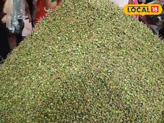 মিলেছে ‘রাজস্থানের ড্রাই ফ্রুট’-এর তকমা