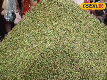 মিলেছে ‘রাজস্থানের ড্রাই ফ্রুট’-এর তকমা