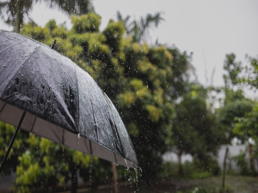 উত্তরবঙ্গেও তাপপ্রবাহের পরিস্থিতি থাকবে নীচের তিন জেলায়। ভারী বৃষ্টিরও সতর্কতা থাকছে। বজ্রবিদ্যুৎ-সহ ঝড়-বৃষ্টির সম্ভাবনা উইকন্ডে দক্ষিণবঙ্গের বেশ কিছু জেলায়। বৃষ্টি বাড়বে আগামী সপ্তাহের মাঝে।
