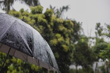 গাঢ় আঁধার, আকাশ ভাঙা বৃষ্টি নামছে... আজও সতর্কতা! জেলায় জেলায় তীব্র হাওয়া, সমুদ্রে নিষেধ
