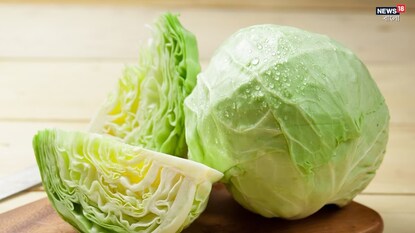 high blood sugar control tips to control diabetes cabbage helps diabetes patientDiabetes Control Tips: রক্ত থেকে ম্যজিকের মত শুষে নেবে সুগার, বাঁধাকপির গুণে ডায়াবেটিস পালাবার পথ পাবে না high blood sugar control tips to control diabetes cabbage helps diabetes patientDiabetes Control Tips: রক্ত থেকে ম্যজিকের মত শুষে নেবে সুগার, বাঁধাকপির গুণে ডায়াবেটিস পালাবার পথ পাবে না