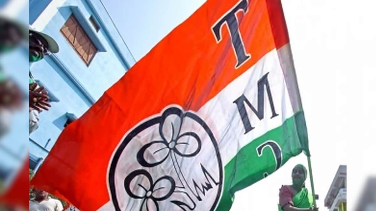 শুভেন্দুর পাড়ায় হাত দিল না তৃণমূল, সৌমেনকে আরও কোণঠাসা করতেই তমলুকে জোড়া বদল?