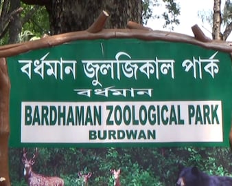 ফের লড়াই, কুমীরের পর এবার হরিণের মৃত্যু রমনাবাগানে