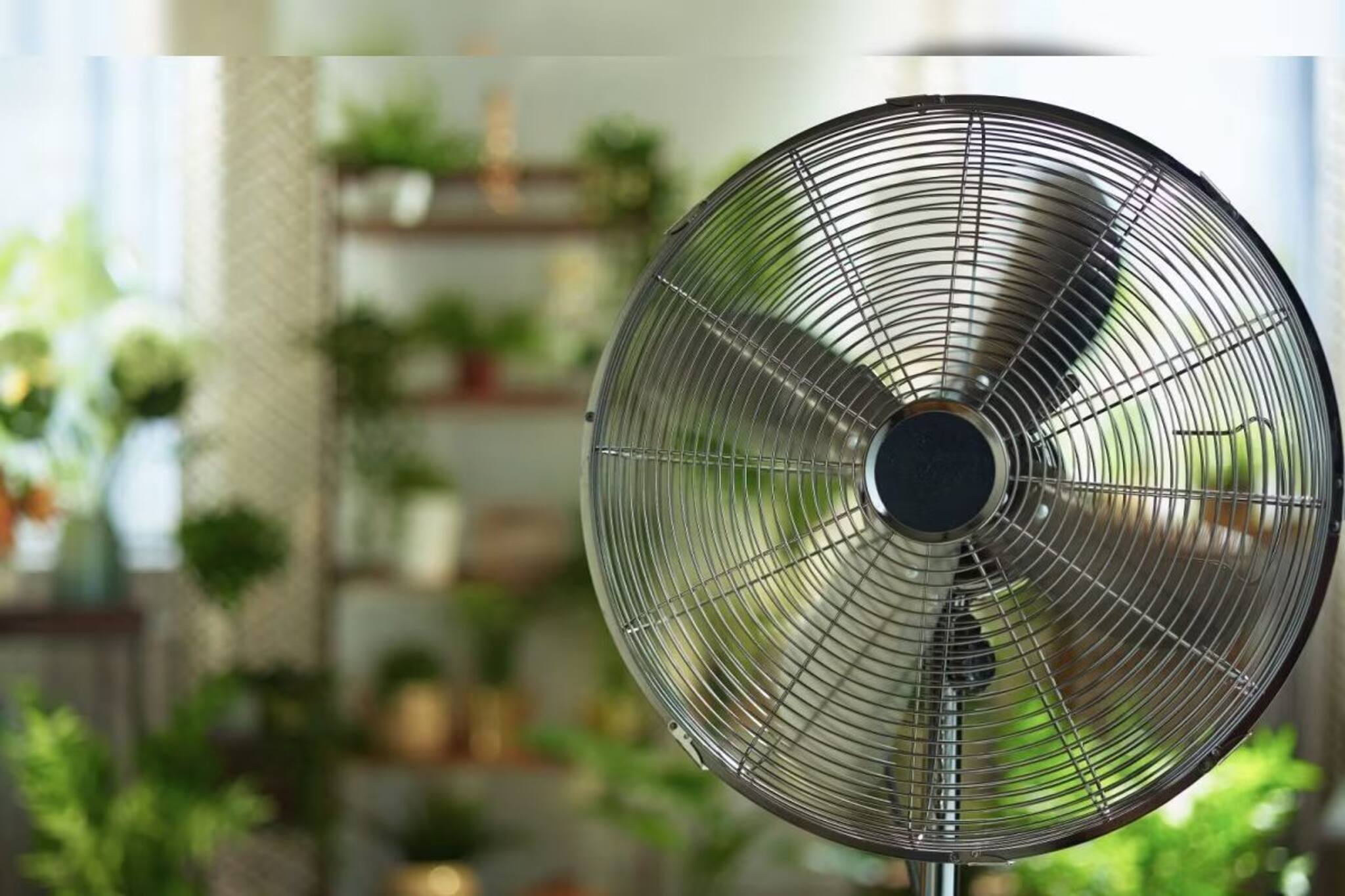 ঝঞ্ঝাটের দিন শেষ...! ১ মিনিটে টেবিল ফ্যান হবে ঝকঝকে সাফ, রইল ধাপে ধাপে পরিষ্কারের পদ্ধতি