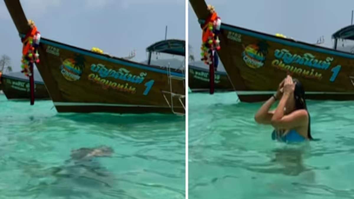 Tourist Hospitalised After Swimming At Thailand’s Monkey Bay: ‘কেউ যদি আমাকে সতর্ক করত…’ থাইল্যান্ডের ‘মাঙ্কি বে’-তে সাঁতার কাটার পর পর্যটক হাসপাতালে ভর্তি !