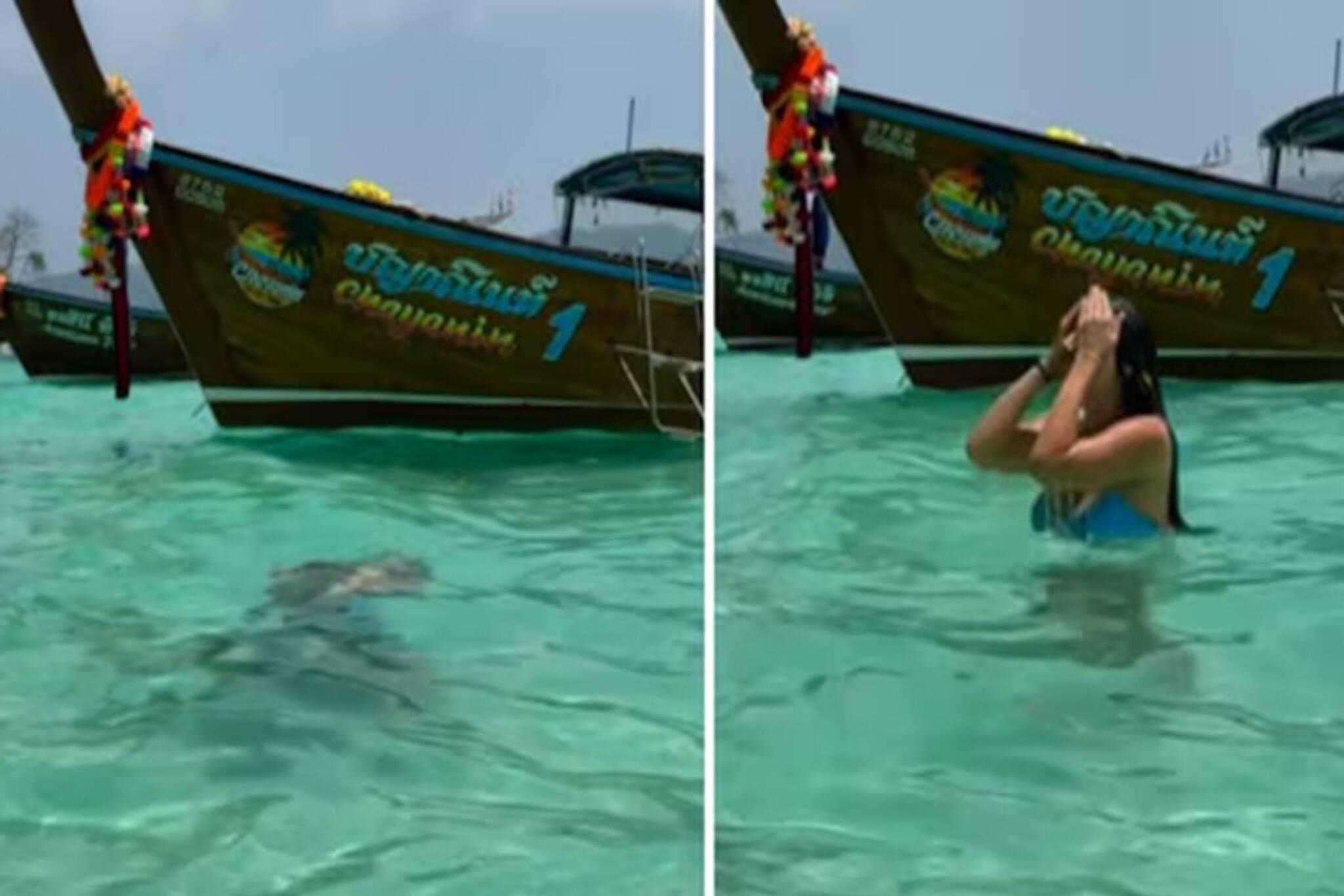 'কেউ যদি আমাকে সতর্ক করত...' থাইল্যান্ডের ‘মাঙ্কি বে’-তে সাঁতার কাটার পর পর্যটক হাসপাতালে!