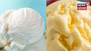 গরমে ঘন ঘন আইসক্রিম খাচ্ছেন, কিন্তু সঠিকটাই শরীরে যাচ্ছে তো! আসল-নকল আইসক্রিম চিনবেন কী করে জানুন...