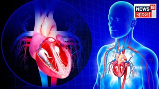 এবার ১ মিনিটেই ধরা পড়বে হৃদরোগ ও হাড় ভাঙার ঝুঁকি! বিজ্ঞানীদের যুগান্তকারী আবিষ্কার সম্পর্কে জানুন... এবার ১ মিনিটেই ধরা পড়বে হৃদরোগ ও হাড় ভাঙার ঝুঁকি! বিজ্ঞানীদের যুগান্তকারী আবিষ্কার সম্পর্কে জানুন...