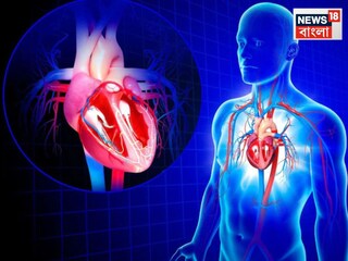এবার ১ মিনিটেই ধরা পড়বে হৃদরোগ ও হাড় ভাঙার ঝুঁকি! বিজ্ঞানীদের যুগান্তকারী আবিষ্কার সম্পর্কে জানুন...