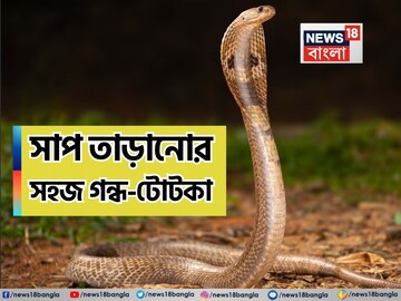 এই ধোঁয়ার গন্ধে সাপ হবে পগারপার! ঘেঁষবে না বাড়ির চারপাশে! রইল সাপ তাড়ানোর সহজ টোটকা