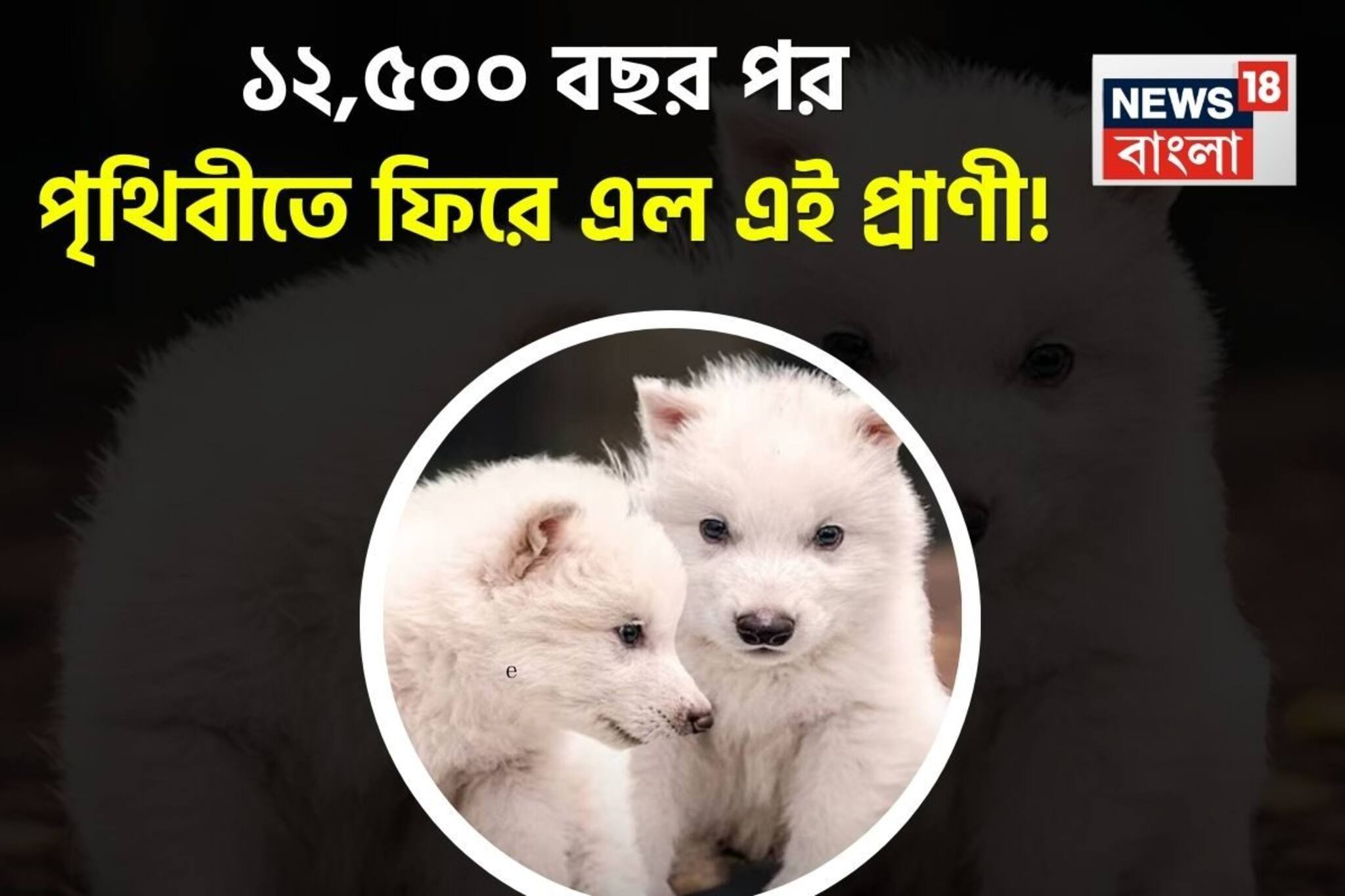 ১২,৫০০ বছর পর পৃথিবীতে ফের জন্ম প্রাগৈতিহাসিক প্রাণীর! জেনেটিক বিজ্ঞানে অসম্ভবও সম্ভব!