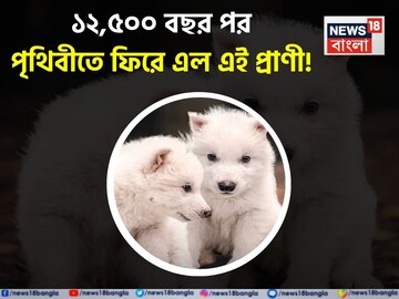 News18