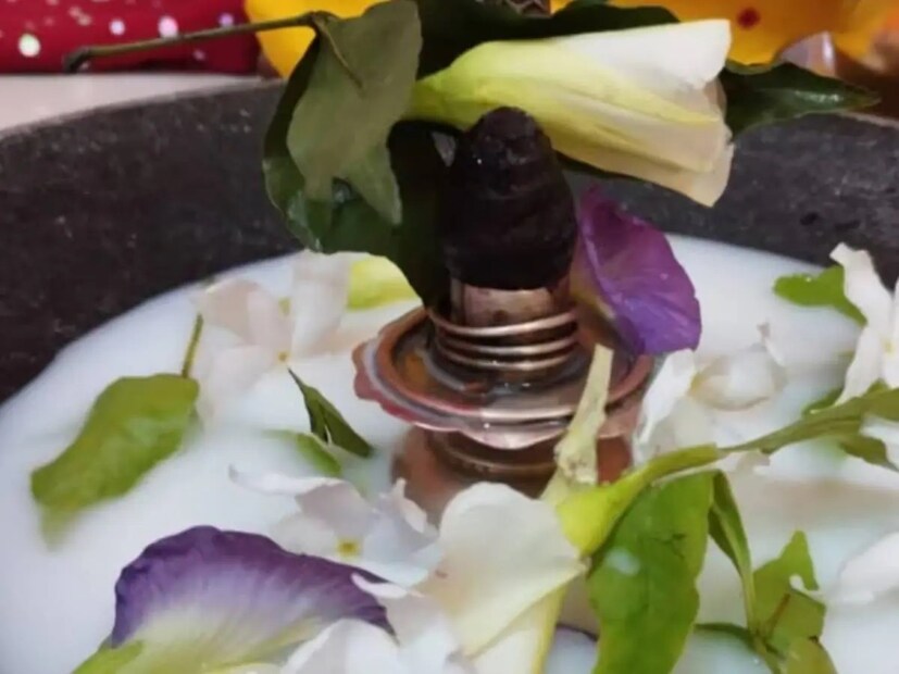পবিত্র ও পুণ্যদায়ী নীলষষ্ঠীতে ডাবের জল দিয়ে অভিষেক করুন মহাদেবের। নিবেদন করুন আকন্দফুলের মালা। নীলষষ্ঠীতে দেবাদিদেব মহাদেবকে অবশ্যই নিবেদন করুন নীল অপরাজিতা বা নীলকণ্ঠ ফুলের মালা। যদি মালা নাও পান, অবশ্যই দিন নীলকণ্ঠ ফুল।