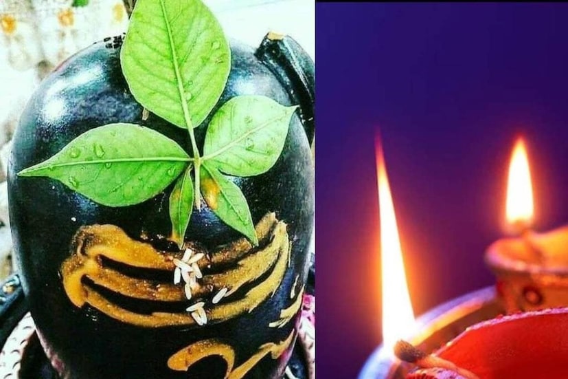 নীলষষ্ঠীর এই শুভ দিনে পুজো করা মানে শুধু একটি রীতি পালন নয়, বরং সন্তান ও পরিবারের জন্য মঙ্গল কামনা করা। কারণ এধিন মা ষষ্ঠীর কৃপা থাকলে জীবনের বহু সমস্যার সমাধান এমনিই হয়ে যায়।