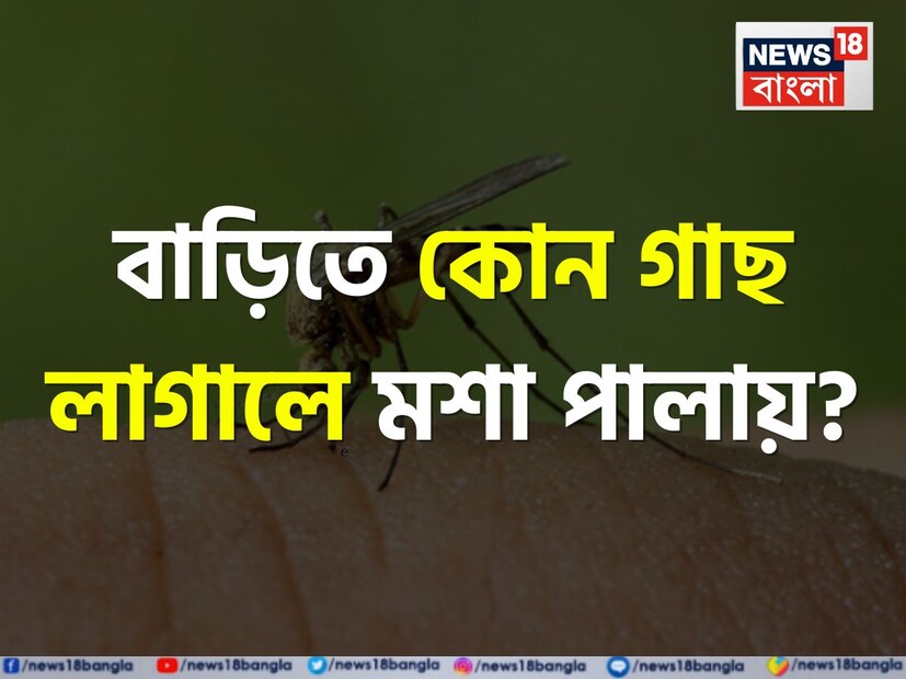 যখনই কোনও প্রতিযোগিতামূলক পরীক্ষার কথা বলা হয়, তখন অবশ্যই সাধারণ জ্ঞানের প্রশ্ন থাকে। সাধারণ জ্ঞান পর্যাপ্ত না থাকলে কোনও পরীক্ষাতেই আজকাল ভাল ফল করা সম্ভব হয় না। তাই পরীক্ষার্থীরাও এই চর্চায় ফাঁক রাখতে চান না।