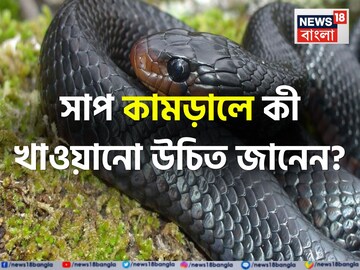 সাপের কামড়ের পর 'কোন' খাবার খেলে শরীরে বিষ ছড়িয়ে পড়ে না...? ভুলেও খাবেন না কোন 'জিনিসটা'?