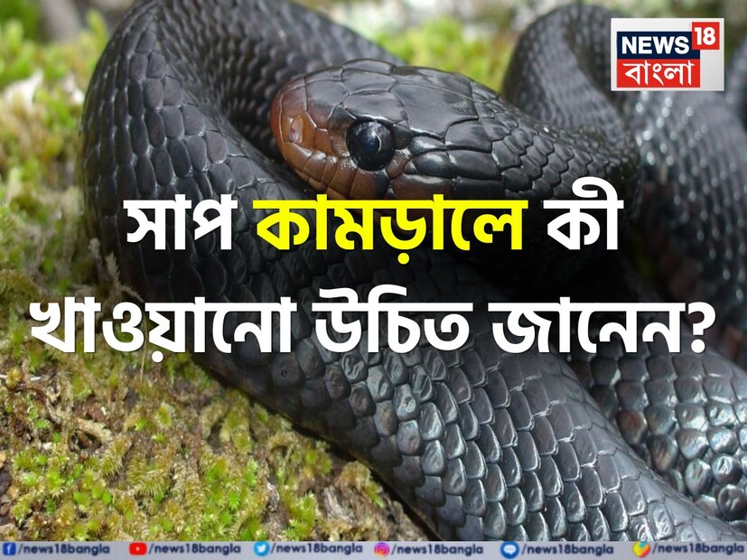 সাপ এমন এক প্রাণী যার নাম শুনলেই আমাদের বুক কেঁপে ওঠে। শুনলেই অনেকেই ভয় পেয়ে যান। আর যখন আমাদের সামনে এসে পরে এই প্রাণীটি তখন প্রায় অজ্ঞান হওয়ার হাল হয়ে যায় ভয়ে।