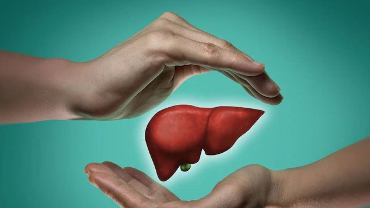 Liver Cancer Causing Food: তিলে তিলে পচবে লিভার! হবে ক্যানসার! আজই বন্ধ  করুন এই ২ খাবার খাওয়া! বাদ দিন এই অভ্যাসliver cancer may be caused by  these food habit with lifestyle |