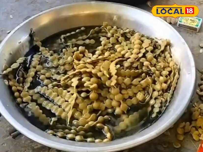 আয়ুর্বেদচার্য ডঃ বীরেন্দ্র কুমার শাস্ত্রী বলেছেন যে এটি দাঁত এবং মাড়ির জন্য একটি উপকারী ঔষধ। প্রতিদিন বাবুলের শুঁটি বা টুথপিক ব্যবহার দাঁতকে শক্তিশালী করে এবং মাড়ির ফোলাভাব এবং রক্তপাত বন্ধ করে। এছাড়াও মুখের দুর্গন্ধও চলে যায়। 