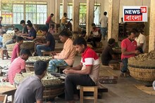 অর্থনৈতিক ক্ষতি বিড়ি শিল্পে! সুতি, সামশেরগঞ্জ, ফরাক্কা এবং রঘুনাথগঞ্জে কী পরিস্থিতি?