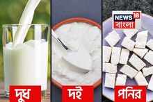দুধ, দই নাকি পনির...? সবচেয়ে স্বাস্থ্যকর 'মিল্ক প্রোডাক্ট' কোনটি বলুন তো? শুনলেই চমকাবেন!
