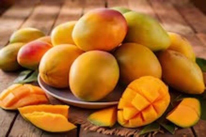 ডায়াবেটিকরা একসঙ্গে দু’ টুকরোর বেশি আম খাবেন না। সপ্তাহে ১ বা ২ দিন আম খান। রোজ খাবেন না। ব্লাড সুগারে প্রাতরাশের সঙ্গে আম খান। তাহলে রক্তে শর্করার মাত্রা নিয়ন্ত্রিত থাকবে। দিনের সময় যত এগোবে, তত আম খাওয়া এড়াতে হবে মধুমেহ রোগীদের।