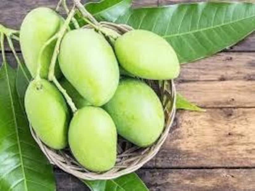 পুষ্টিবিদ রুজুতা দ্বিবেকরও মনে করেন, অতুলনীয় আম ডায়াবেটিস এবং ওবেসিটিতে খাওয়া যায়৷ তবে খেতে হবে নিয়ম মেনে এবং পরিমিত পরিমাণে৷ ফাইবার, অ্যান্টিঅক্সিড্যান্ট এবং ফাইটোনিউট্রিয়েন্টসে সমৃদ্ধ আম খেতে হবে দিনে একটা করে এবং দু’টি প্রাতরাশ ও দুপুরের খাবারের মাঝে৷