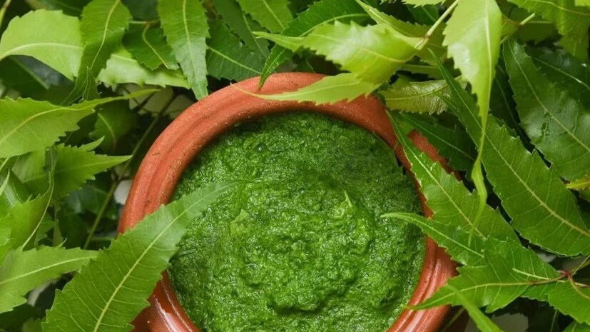 নিম খাওয়ার সরাসরি স্বাস্থ্য উপকারিতা না থাকলেও, এর অভ্যন্তরীণ ব্যবহার আপনাকে মশার মতো পোকামাকড়ের প্রতি কম আকর্ষণীয় করে তুলতে পারে। নিম শরীরের গন্ধকে সূক্ষ্মভাবে পরিবর্তন করে যা প্রাকৃতিকভাবে পোকামাকড় তাড়াতে পারে, যা মশা-প্রবণ গ্রীষ্মে একটি বোনাস।