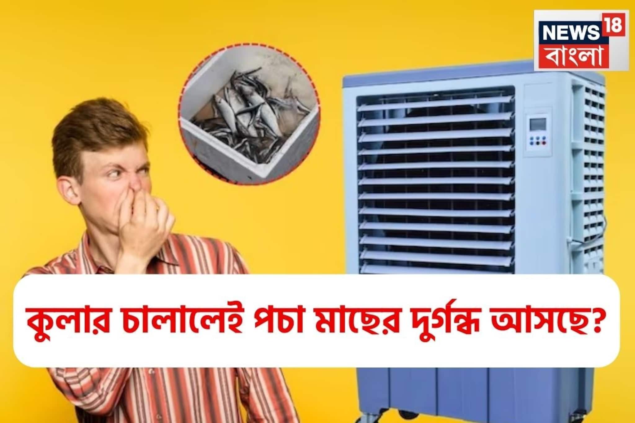 কুলার চালালে পচা মাছের দুর্গন্ধ? গোপনে ঝাঁঝরা হচ্ছে না তো শরীর? এটি করলে ৫ মিনিটে গন্ধ দূর