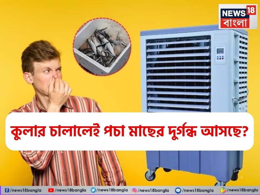 তীব্র গরমে হাঁসফাঁস অবস্থা সকলের৷  প্রচণ্ড গরম থেকে বাঁচতে একাধিক বাড়িতে দিনরাত কুলার চলছে। এটি এসির তুলনায় সাশ্রয়ী এবং বিদ্যুৎও সাশ্রয় করে। কিন্তু মাঝে মাঝে কুলারের হাওয়া থেকে অদ্ভুত পচা মাছের মতো গন্ধ আসতে শুরু করে । 