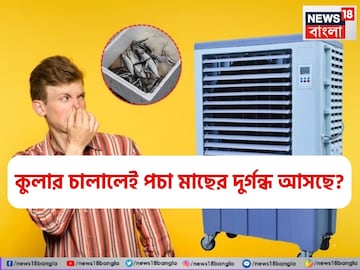 কুলার চালালে পচা মাছের দুর্গন্ধ? গোপনে ঝাঁঝরা হচ্ছে না তো শরীর? এটি করলে ৫ মিনিটে গন্ধ দূর কুলার চালালে পচা মাছের দুর্গন্ধ? গোপনে ঝাঁঝরা হচ্ছে না তো শরীর? এটি করলে ৫ মিনিটে গন্ধ দূর