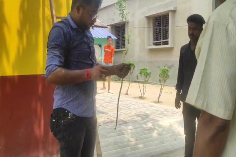 এই দৃশ্য দেখেই আতঙ্ক গ্রাস করে পরিবারটিকে৷ সঙ্গে সঙ্গেই সাপ উদ্ধারকারী একটি স্বেচ্ছাসেবী সংস্থাকে খবর দেওয়া হয়৷ ওই সংগঠনের সদস্যরা এসে প্রথমে এসি-র আউটডোর ইউনিটের ভিতর থেকে দুটি সাপ উদ্ধার করে নিয়ে যান৷ ফের আজ সকালে ওই একই জায়গা থেকে আরও তিনটি সাপ ধরা পড়ে৷ 