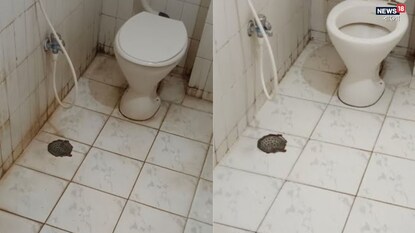 বাথরুমের মেঝেতে শেওলা? বিনামূল্যে ১ মিনিটে ঝাঁ চকচকে বাথরুমের টাইলস! ৩ হোম রেমেডিতে কাজ হাসিল বাথরুমের মেঝেতে শেওলা? বিনামূল্যে ১ মিনিটে ঝাঁ চকচকে বাথরুমের টাইলস! ৩ হোম রেমেডিতে কাজ হাসিল