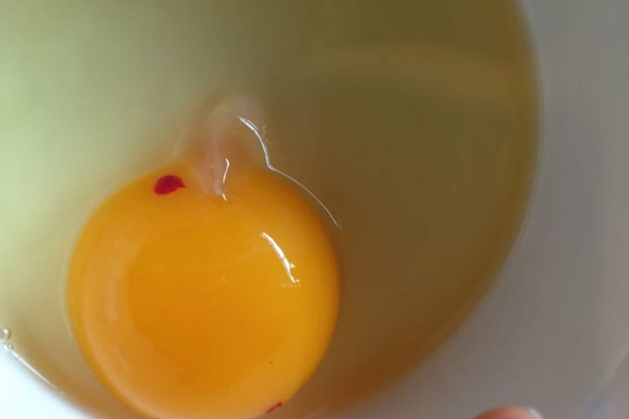 ডিমের কুসুমে এক বিন্দু রক্তের দাগ খেয়াল করেছেন কখনও? এমন ডিম খেলে কী হয় জানেন?